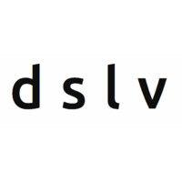 d s l v studio logo image