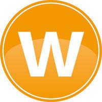 wewo techmotion logo image