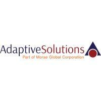 adaptive solutions, inc. logo image