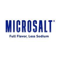 microsalt inc. logo image