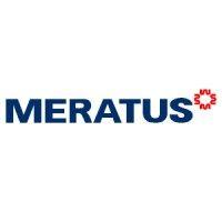 meratus group logo image