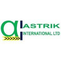 astrik international logo image