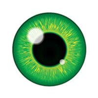 greeneye ventures logo image