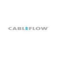 cableflow international limited logo image