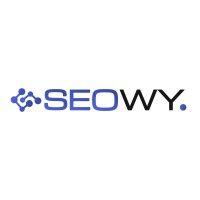 seowy - agencja seo / sem logo image