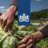 ministerie van landbouw, visserij, voedselzekerheid en natuur logo image