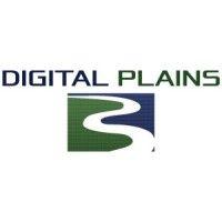 digital plains llc logo image