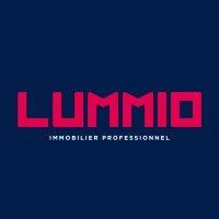 lummio logo image