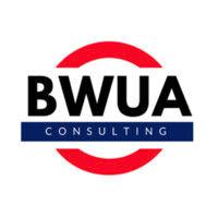 black wharton undergraduate association consulting logo image