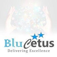 blucetus private limited logo image