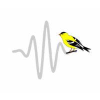 goldfinch sta logo image