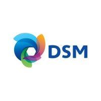 dsm logo image