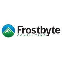 frostbyte consulting logo image