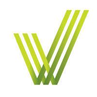 viyellatexgroup logo image