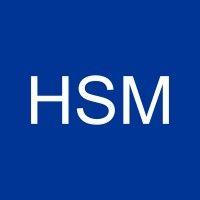 hsm group logo image