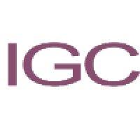 independent generation company logo image