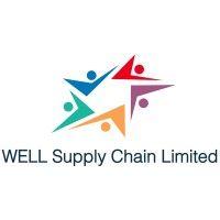 well supply chain limited logo image