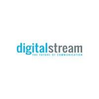 digital stream ltd logo image