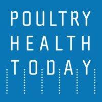 poultry health today