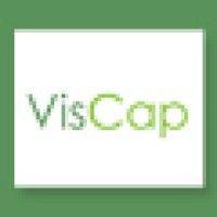 viscap logo image