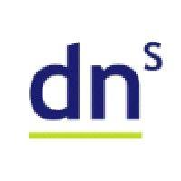 digital network solutions ltd logo image