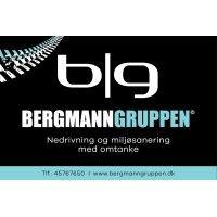 bergmann gruppen a/s logo image