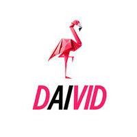 daivid 🦩 logo image