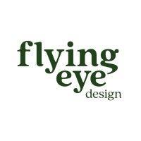 flying eye design logo image