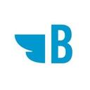 logo of Bluebird Branding Llc