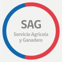 agricultural and livestock service of chile (sag) logo image