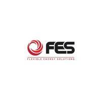 flexible energy solutions logo image