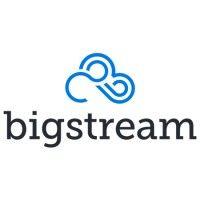 bigstream logo image