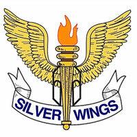 silver wings