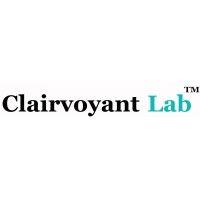 clairvoyant lab logo image