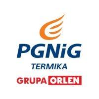 pgnig termika s.a.