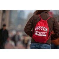 boston university department of sociology logo image