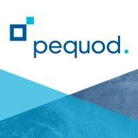 pequod associates ltd logo image