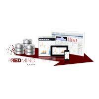 red mind solutions, inc. logo image