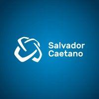 grupo salvador caetano logo image