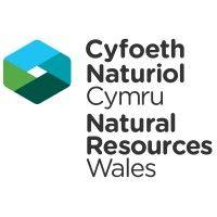 cyfoeth naturiol cymru / natural resources wales logo image