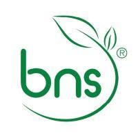 bio natural solutions (bns worldwide) logo image