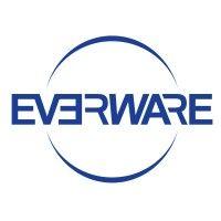 everware international logo image