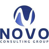 novo consulting group logo image