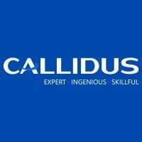 callidus staffing solutions pvt ltd logo image