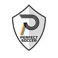 perfect soccer logo image