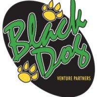 black dog venture partners