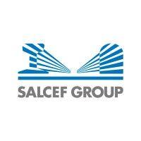 salcef group logo image