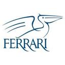 logo of Ferrari Group