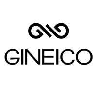 gineico lighting logo image