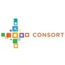 logo of Consort Partners